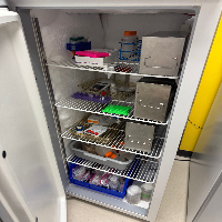 Thermo TSX -20C Lab Freezer image 1